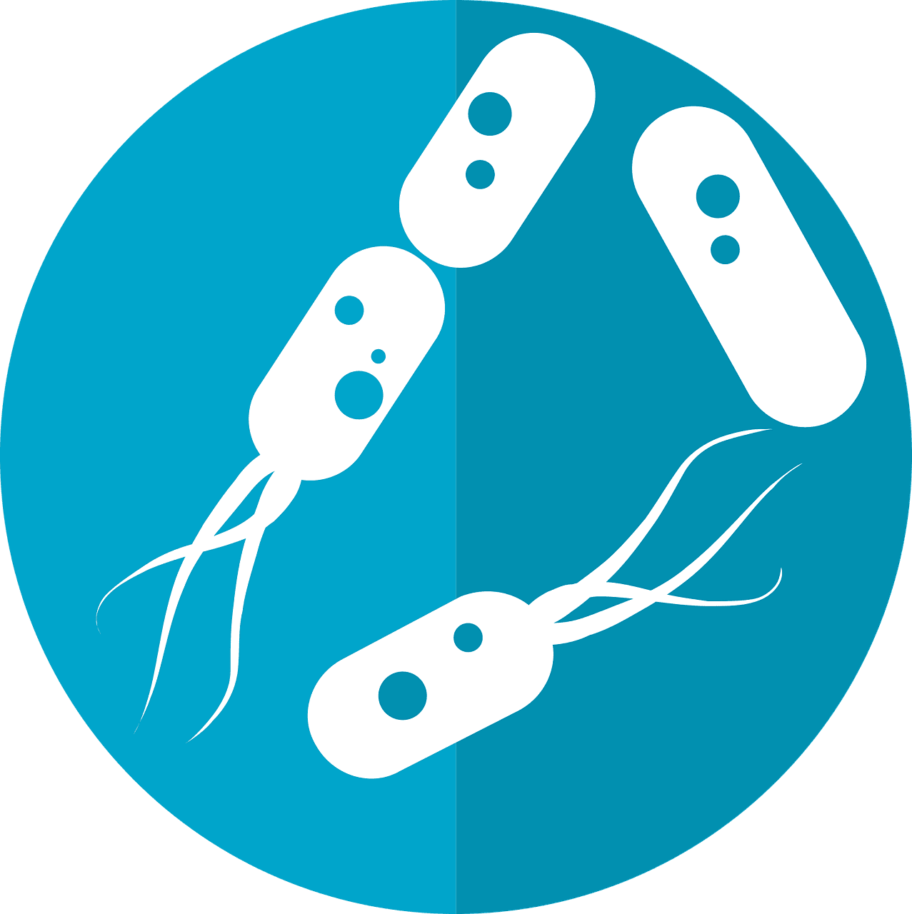 Archaea, früher auch als Archebakterien bezeichnet, sind das Vorbild für Nanoroboter. Jetzt ist Forschenden der Technischen Universität München (TUM) eine synthetische Nachbildung ihres Fortbewegungsprozesses gelungen.