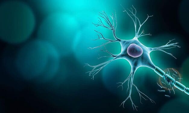 Neurofilament-Leichtketten-Bluttest bei Multipler Sklerose erhält CE-Zertifizierung