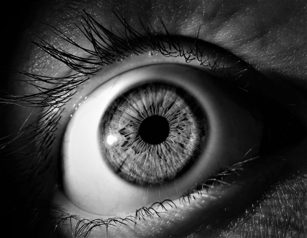 Intestinal flora can promote eye inflammation. Symbolic image. Credits: pixabay