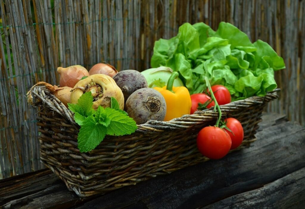 Gesunde Ernährung ist der Schlüssel für einen gesunden Darm. Colitis ulcerosa-Patienten müssen besonders auf ihre Ernährung achten. (Credits: pixabay)
