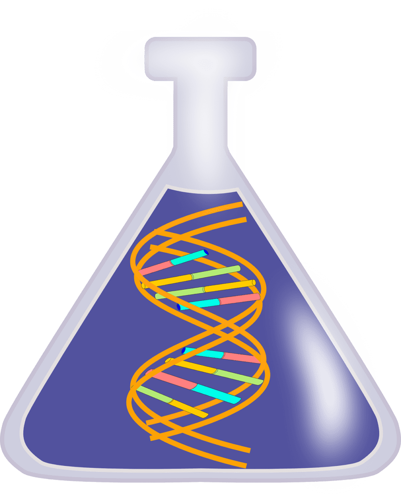 Credits: OpenClipart-Vectors/pixabay