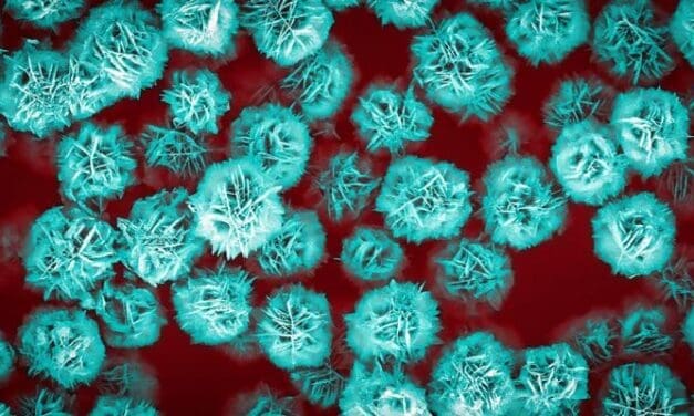 ETH Zürich: Blütenpartikel können Medikamente zum Tumor befördern