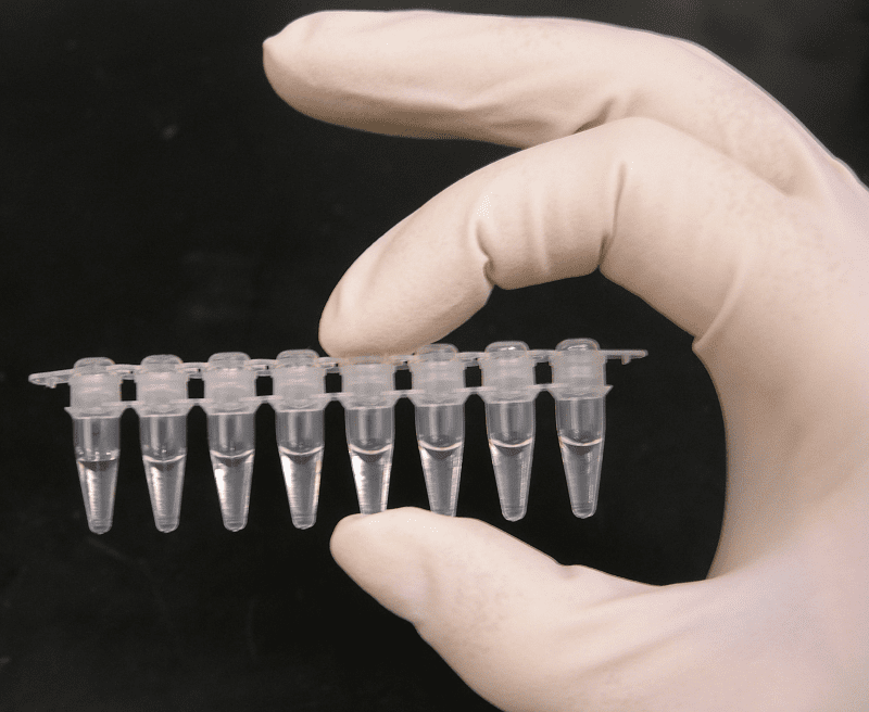 PCR reaction tubes, each containing a 1000µl (1mL) reaction mixture.