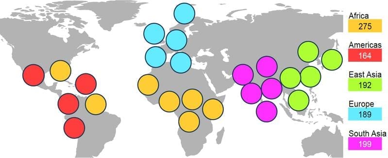 The studies analyzed genome data sets from five continents and 26 populations. This made it possible to map a particularly large diversity of the human genome. | (Copyright: Siegfried Schloissnig / HHU - Berit Meisenkothen)