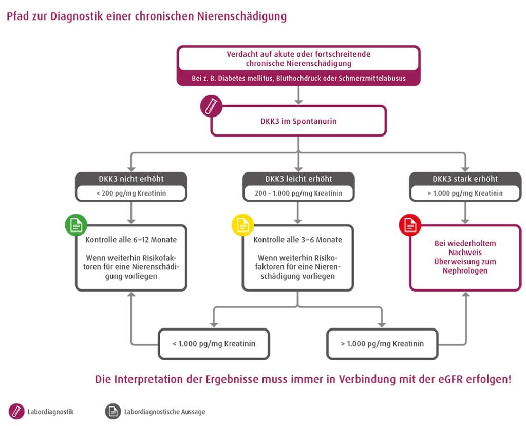 Staged diagnosis of suspected acute or progressive chronic kidney damage. Credits: Limbach