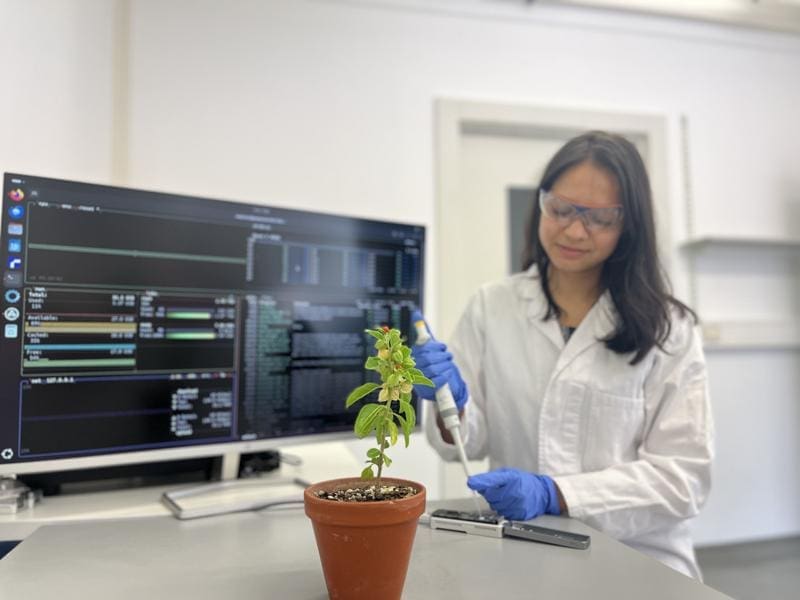 Nancy Choudhary, Institute of Cellular and Molecular Botany at the University of Bonn, performing genome sequencing of the plant Withania somnifera. | Copyright: © Julie Anne V.S. de Oliveira