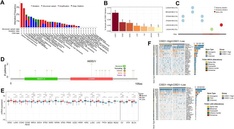 Analysis of the different genomic profile of CISD1 in different types of cancer.