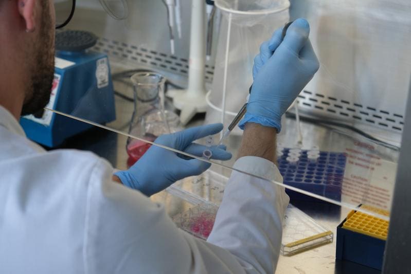 Through targeted optimization of workflows, up to 65% of plastic waste in the laboratory can be reduced. | Copyright: © Leibniz-HKI   