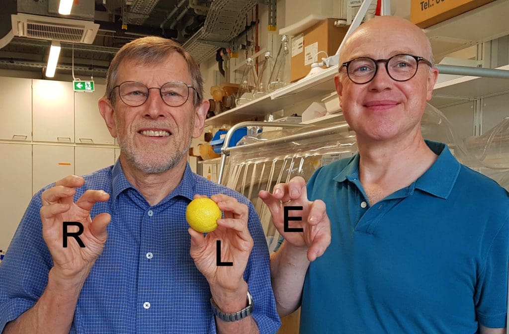 In the figure, Roland Lill (left) and Oliver Stehling
show an example of how D-cysteine has a toxic effect in cells: Normally, the yellow sulfur is transferred from the left hand (L) to a recipient position in the enzyme (E). However, if the yellow sulphur is in the right hand (R), the distance to the receiver position is too great. As a result, the transmission reaction, which is vital for the cell, cannot take place and the cell dies. Photo: Carina Beimborn; Editing: Roland Lill.   