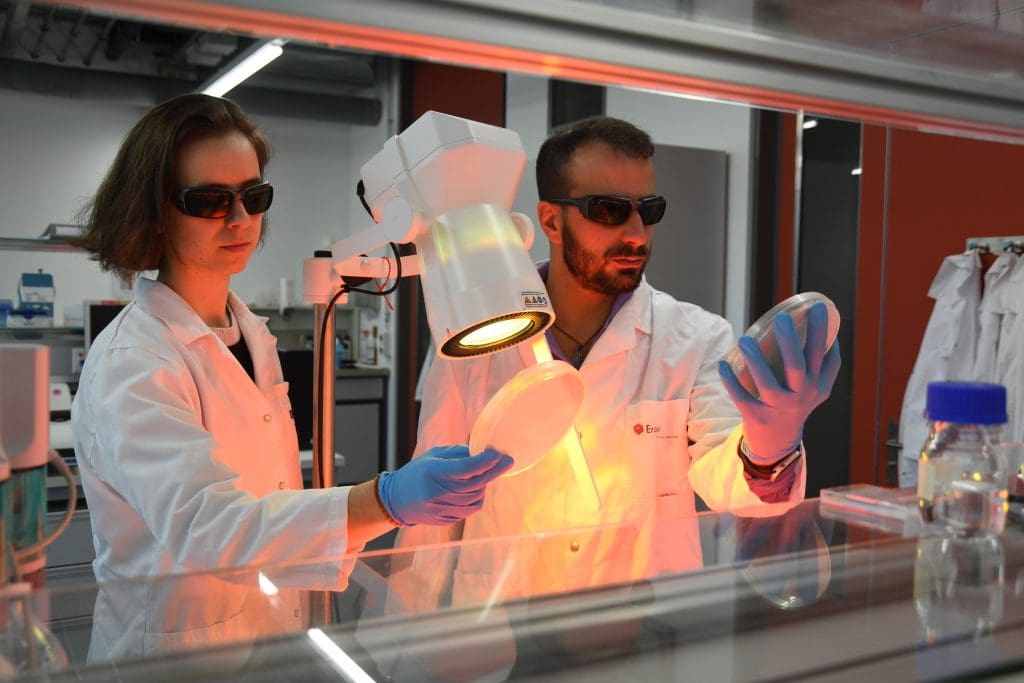 Microbe hunters: Empa researchers Paula Bürgisser and Giacomo Reina from the "Nanomaterials in Health" laboratory in St. Gallen. Image: Empa   