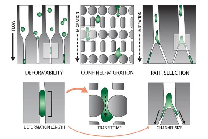 The image shows the three different microfluidic assays performed on the cancer cells (top) and the corresponding evaluations (bottom). Credits: A. van der Net