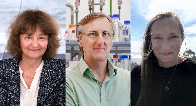 Von links nach rechts: Prof. Dr. Marina Rodnina, Prof. Dr. Johannes Buchner und Prof. Dr. Judith Frydman | Copyright: Irene Böttcher-Gajewski / MPI-NAT; Andreas Heddergott / TUM; privat