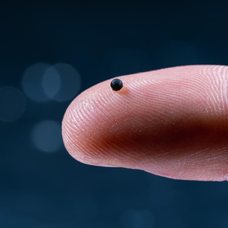 This is how small the latest ETH microrobot is | Source: Luca Donati | Copyright: lad.studio Zurich