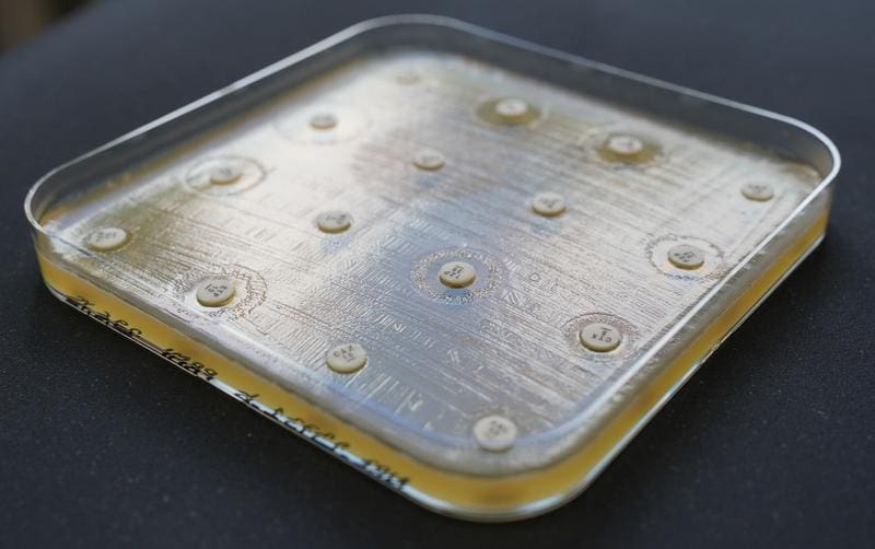 When antibiotic platelets meet a bacterial culture, inhibition zones are created in which bacterial growth is suppressed. Based on their diameters, the AI model calculates whether the bacterium is likely to be resistant to a reserve antibiotic. | Source: Axel Hamprecht | Copyright: University of Oldenburg / Axel Hamprecht