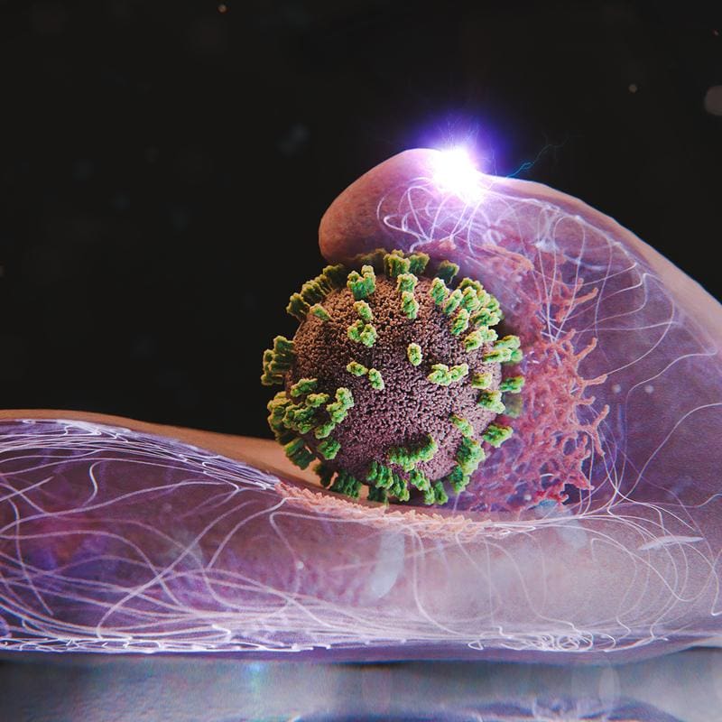 Cells actively help to capture and absorb influenza viruses. Here is a cell and in the middle of the image a virus. | Source: Emma Hyde | Copyright: ETH Zurich