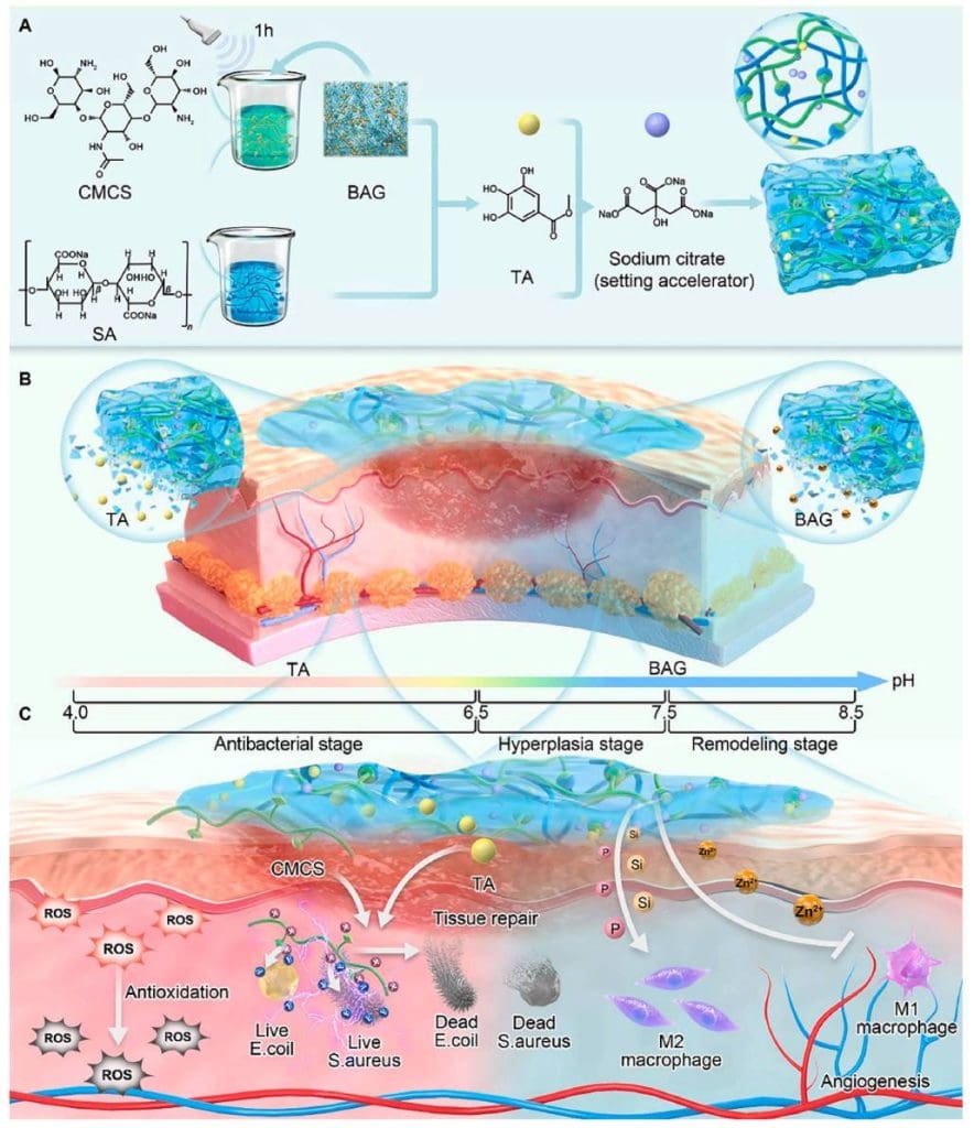 Schematic representation. Credits: Fudan University