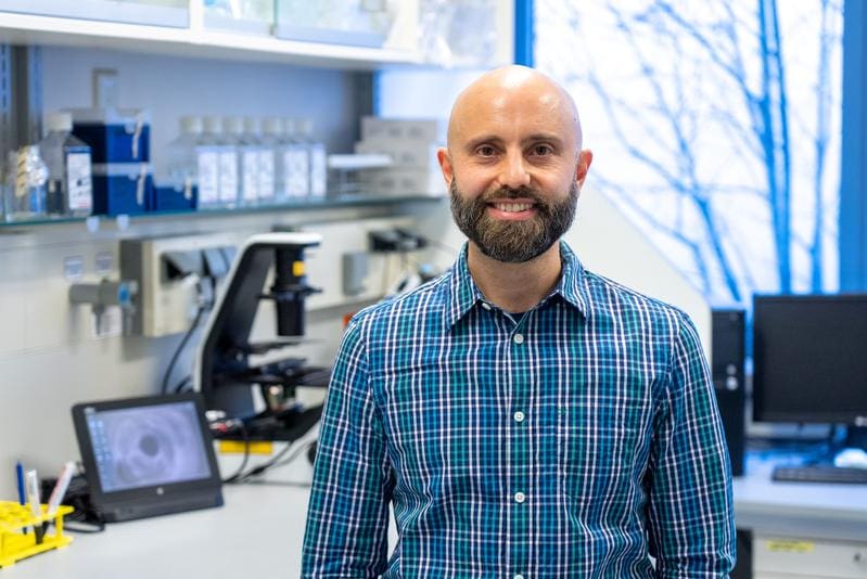 Prof. Dr. Alessandro Prigione (Department of General Paediatrics, Neonatology and Paediatric Cardiology) will take over the management of the SynLeigh project. | Copyright: Private   