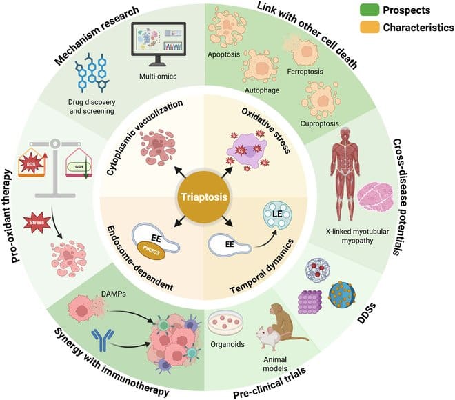 Authors: ZI-ZHAN LI , KAN ZHOU, JINMEI WU, LEI-MING CAO, GUANG-RUI WANG, HAN-YUE LUO, BING LIU AND LIN-LIN BU
Journal: September 9, 2025, Volume 8, Article ID: 0880