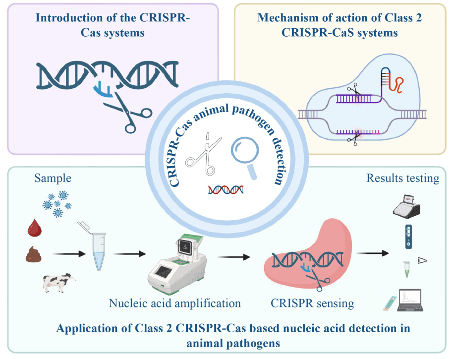 Credits: Frontiers Journals / The authors