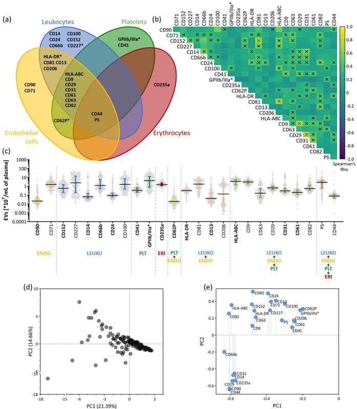 A look into the blood | Source: Holcar M et al | Copyright: J Extracell Vesicles . 2025 Jan; 14(1):E70039. doi: 10.1002/jev2.70039.  