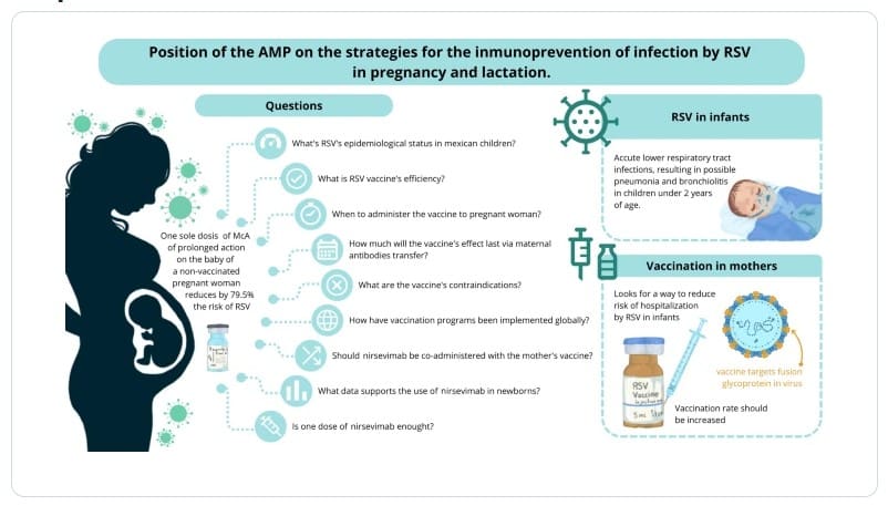 Integrated immune prevention strategies to protect infants from RSV. This review summarizes the position of the Mexican Society of Pediatrics on immune prevention against respiratory syncytial virus (RSV) during pregnancy and early infancy. It highlights key findings that support maternal RSV vaccination and the use of long-acting monoclonal antibodies to reduce severe lower respiratory tract infections, hospitalizations, and the burden of disease in infants. The concept addresses key questions of timing, efficacy, safety and implementation and emphasizes complementary strategies to protect newborns in their particularly sensitive first months of life. Credits: WJP
