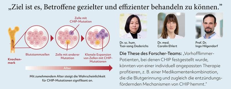Presentation of the process of clonal hematopoiesis with undetermined potential (CHIP). Older people are naturally affected more often. | Copyright: German Heart Foundation  