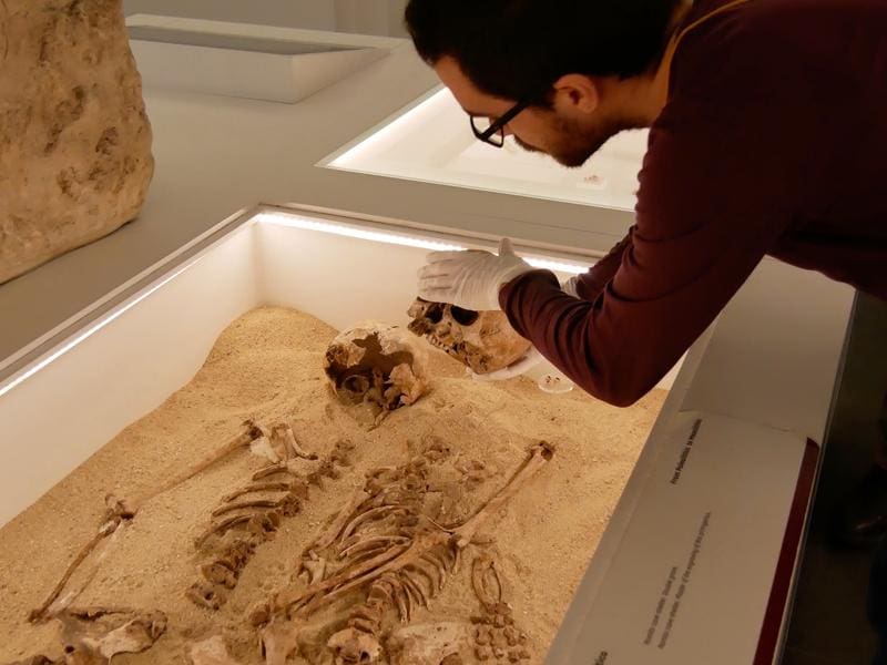 Daniel Fernandes prepares a sampling. | Copyright: Adrian Daly   