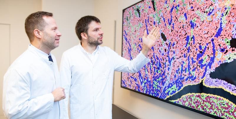 Prof. Dr. Christian Hinze (right) and Prof. Dr. Kai Schmidt-Ott discuss results of spatial gene expression analyses of a transplanted kidney that shows signs of rejection. | Copyright: Karin Kaiser / MHH