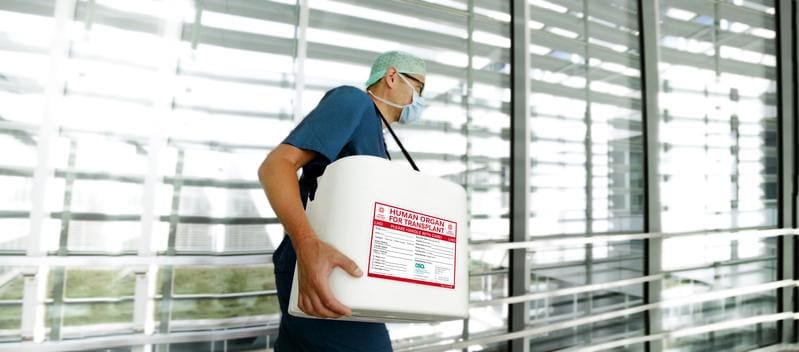 Organbox Transport | Source: DSO Andreas Steeger