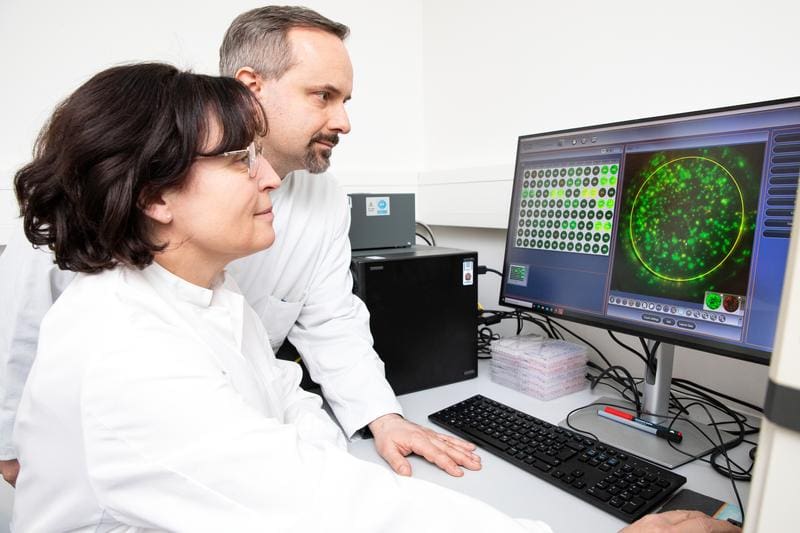 Prof. Dr. Britta Eiz-Vesper and Prof. Dr. Thomas Skripuletz analyze the results of a test on the screen that makes virus-specific T cells visible in the blood of a PML patient. | Copyright: Karin Kaiser/MHH. 