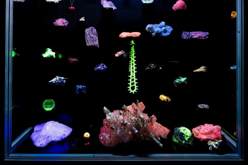 View of the UV cabinet of the Mineralogical Collection of the Friedrich Schiller University Jena. By irradiating the minerals with UV light, they begin to glow in different colors. This behavior is called fluorescence. | Source: Nicole Nerger / University of Jena   