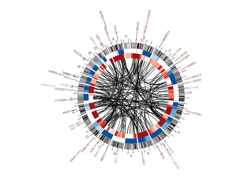 The graphic shows a summary, Circos plot, of the genetic changes in 17 myeloma patients whose tumor genome was fully examined using whole genome sequencing. | Copyright: Riedhammer, C., Truger, et al. Leukemia (2026).   https://doi.org/10.1038/s41375-026-02889-3
 