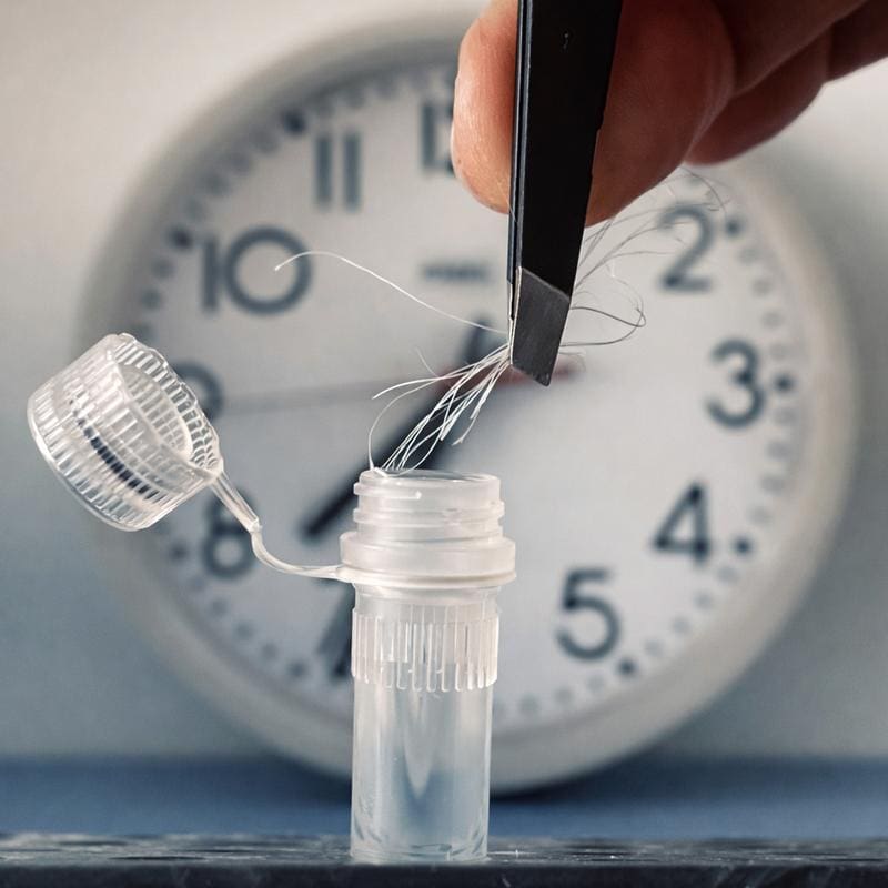 A hair sample is sufficient to determine the individual rhythm of the internal clock. | Source: Bert Maier | Copyright: © Charité | Bert Maier 