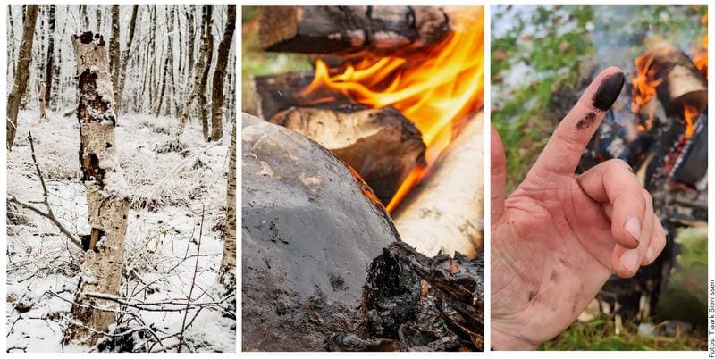 Researchers have produced birch pitch using methods that Neanderthals already used to analyze its antibacterial potential. | Source: Tjaark Siemssen | Copyright: University of Cologne 