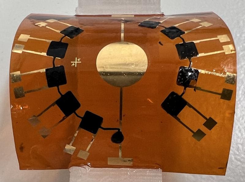 PEDOT:sGAGh (black) as sensor units on a flexible carrier material. | Source: Ivan Minev | Copyright: Ivan Minev / IPF-DD 