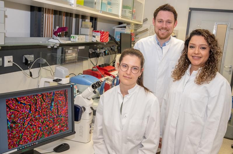 New understanding of cardiac regeneration | Source: R. Müller | Copyright: University Hospital Bonn