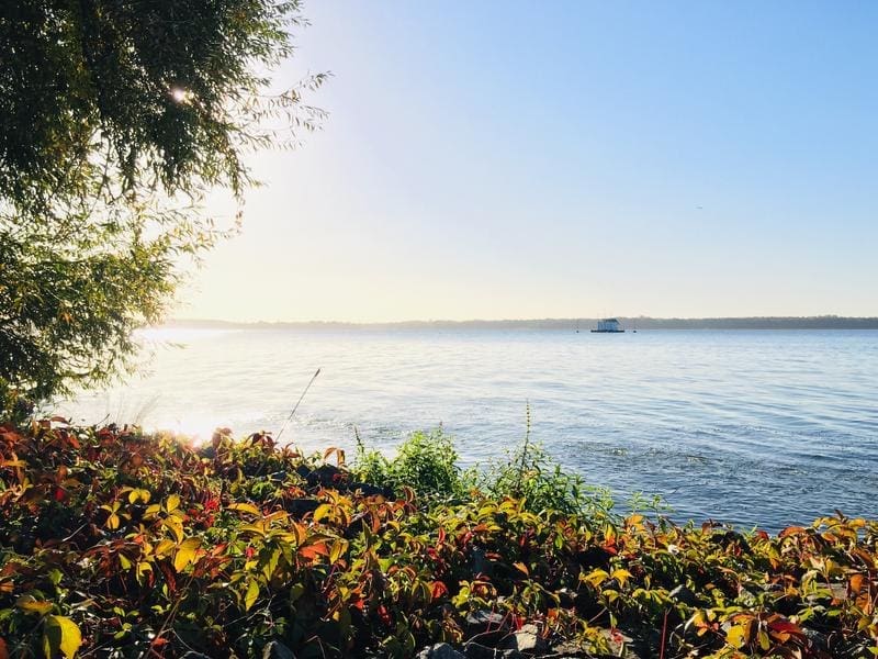Müggelsee | Source: Angelina Tittmann | Copyright: IGB/Tittmann