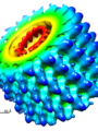 CryoEM reconstruction of the Marburg virus nucleocapsid. EMD-1986. Credits: Wikipedia