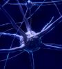 Neuronen. Symbolbild. Credits: Pixabay